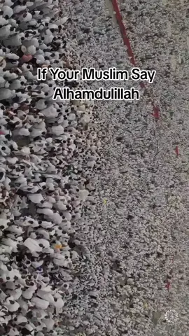 If Your Muslim Say Alhamdulillah @KF Adventures @pray for Palestine #hajjihajjhajj #videoshajj #videovideoshajj #ki #new #videoshajj #20252025 #hajjhajj2025hajj2025videohajj #short #videohaj #ki #videohajj2025 #viralshort #videoshaj #2025hajj #2025 #newshajj #2025 #vlogmuslim #videoshajj #2024haji #2025hajj #2026islamic #videoshajj #2025 #updatehajj2024hajj #mubarak #2025short #videohajj #2025 #pakistanhaj #karte #hue #videomakkah #videovairal #videoislami #videoislamic #video 