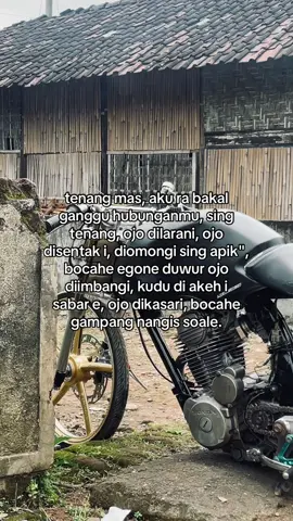 #tigerarsanta #arsantagank 