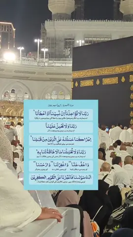 #ربنا_لاتواخذنا_ان_نسينا_او_اخطئنا #☝🏽💞🕋💞🤲🏽 #ربنا_ولا_تحملنا_ما_لا_طاقة_لنا_به #hajjmubarak #foryoupage❤️❤️ #dua #muslimtiktok #tabbasam321 