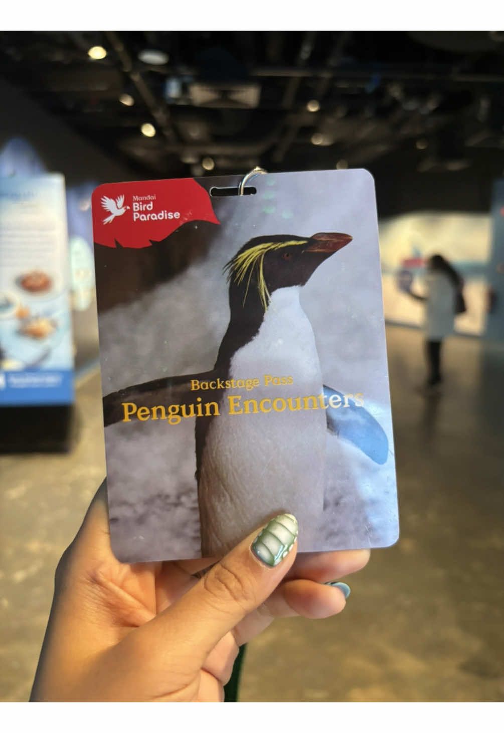Join us as we take a look at Bird Paradise’s latest Backstage Pass: Penguin Encounters experience! 🤩  How many penguins can you spot in one video? Who’s your favourite 🐧? Let us know in the comments!!  Thank you @Mandai Wildlife Reserve for the invite 🫡🙏🏻 #AsONEWeCan #oceannetworkexpress #penguin #penguinencounters #birdparadise #mandaiwildlifereserve 
