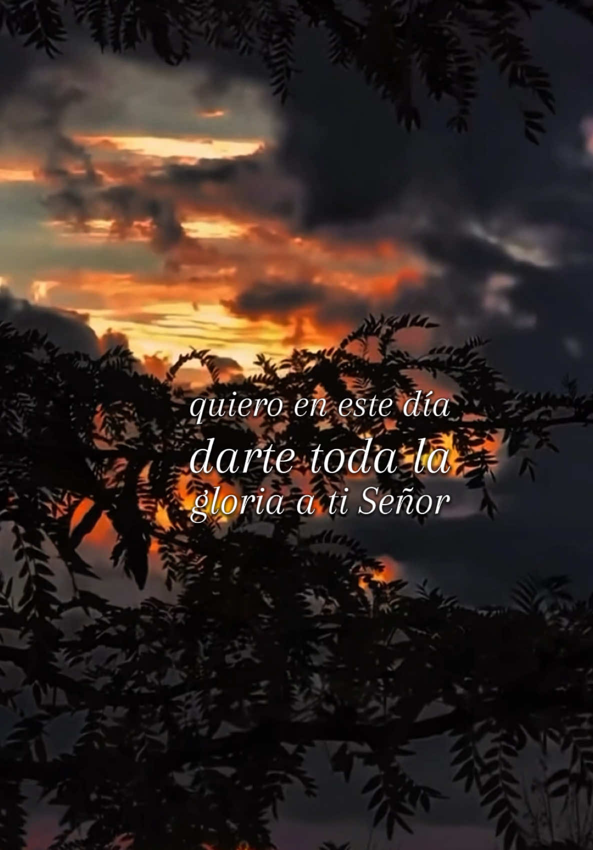 Oración de la mañana ☀️#oraciondelamañana #oracionesdiarias #graciasDios #nuevodia #bendiciones 