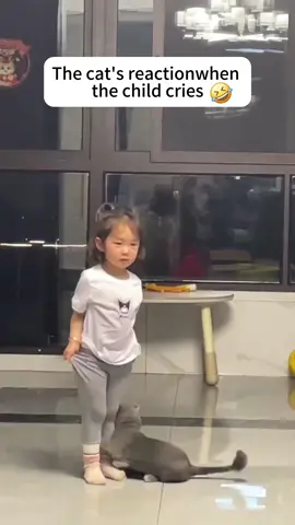 The cat’s reaction when the child cries😂#cat #usa🇺🇸 #funny #funnycat #tiktok #catsoftiktok #funnyvideos #baby 