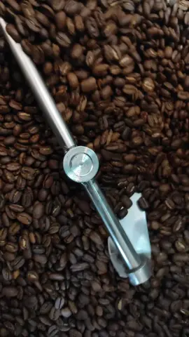 mentahan rosting kopi arabica Gayo  #kopi #fyp #kopigayo #roastingkopi #petanikopi 