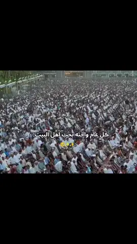 كل عام وانتم بخير ياشيعة علي 🥹✨✨#CapCut #شعب_الصيني_ماله_حل😂😂 