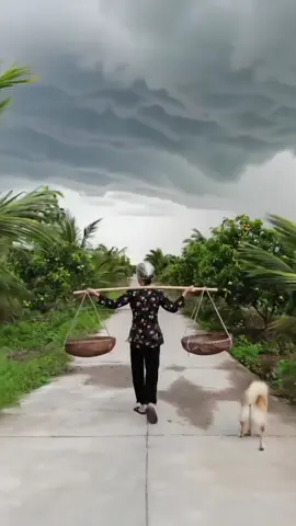 #bìnhyên #kíuctuoitho #tamtrang #hanhphuc #kíucdep 