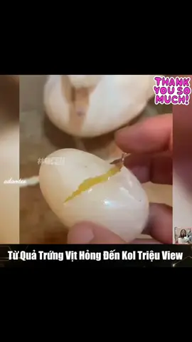 từ quả trứng vịt vỡ trở thành chú vịt khỏe mạnh 