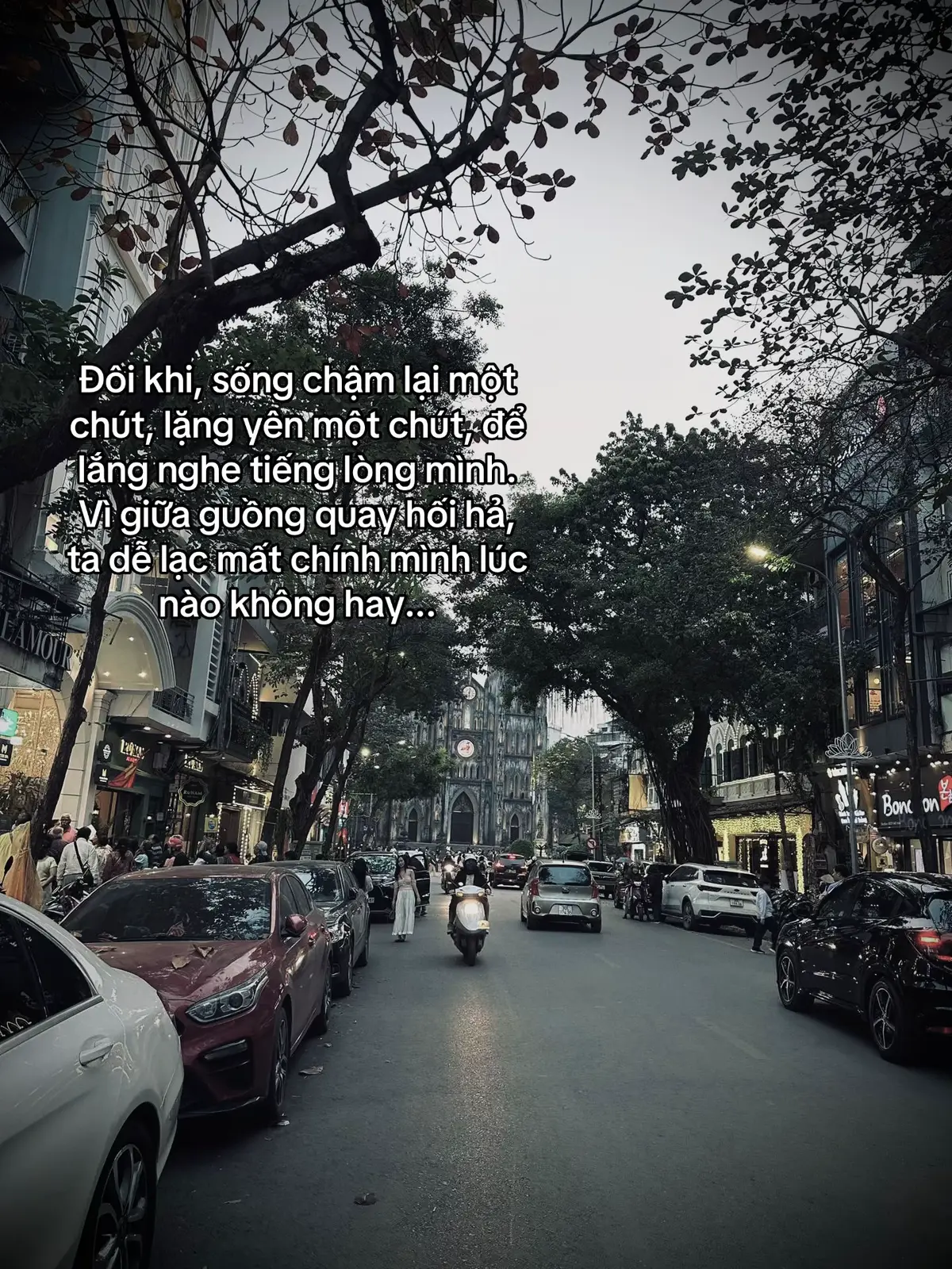 Đôi khi, sống chậm lại một chút, lặng yên một chút, để lắng nghe tiếng lòng mình. Vì giữa guồng quay hối hả, ta dễ lạc mất chính mình lúc nào không hay...