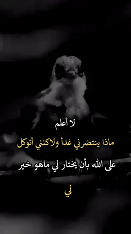 #عباراتكم_الفخمه🦋🖤🖇 #افضل_عبارة_لها_تثييت #عبارات_جميلة_وقويه😉🖤 