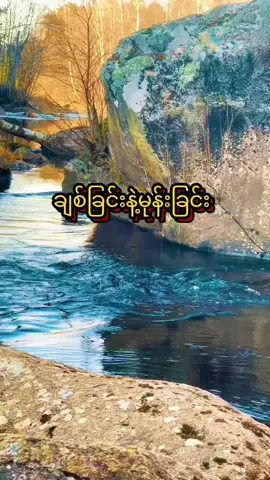 #သစ္စာရွှေစည်ဆရာတော်အရှင်ဥတ္တမ၏တရားတော် #ဓမ္မဒါန #တရားနာ၍စိတ်ရောကိုယ်ပါအေးချမ်းကြပါစေ😊🙏🌹 #တရားနာယူချင်းဖြင့်စိတ်အေးချမ်းပါစေ🙏🙏🙏 