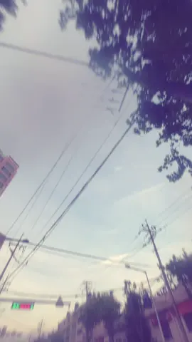 놀리지마라 #추천추천추천추천추천추천추천추천추천추천 #08 #fyp 