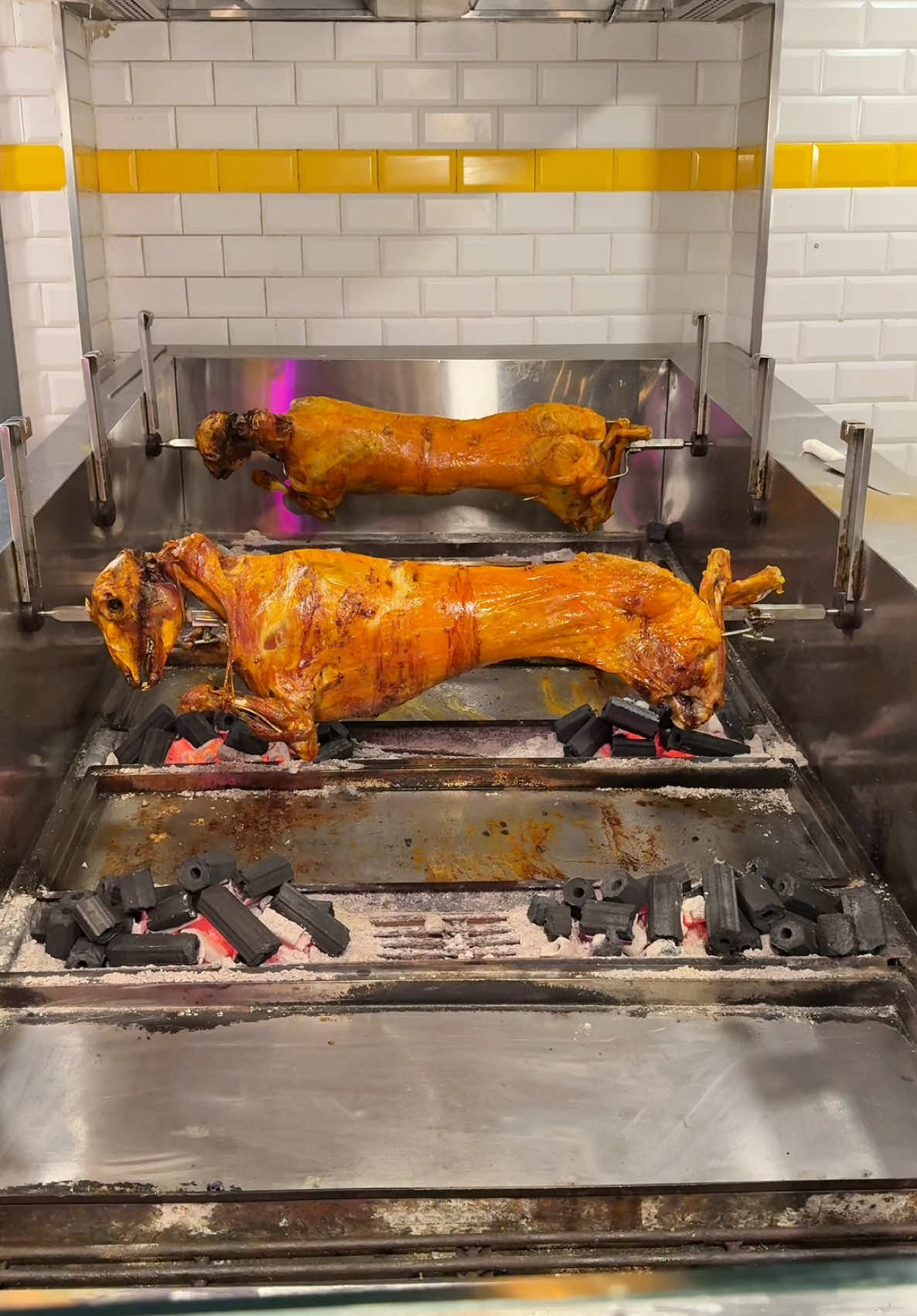مجنون لحم في طوار مول  Majnon lahin tawar mall  الخروف متوفر بشكل عام او قطع او وجبة فردية The lamb is available as a whole, in portions, or as an individual meal. #الشعب_الصيني_ماله_حل😂😂 #مطاعم_قطر #اكسبلور 