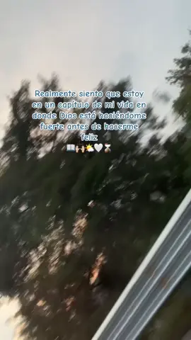🍃🍃