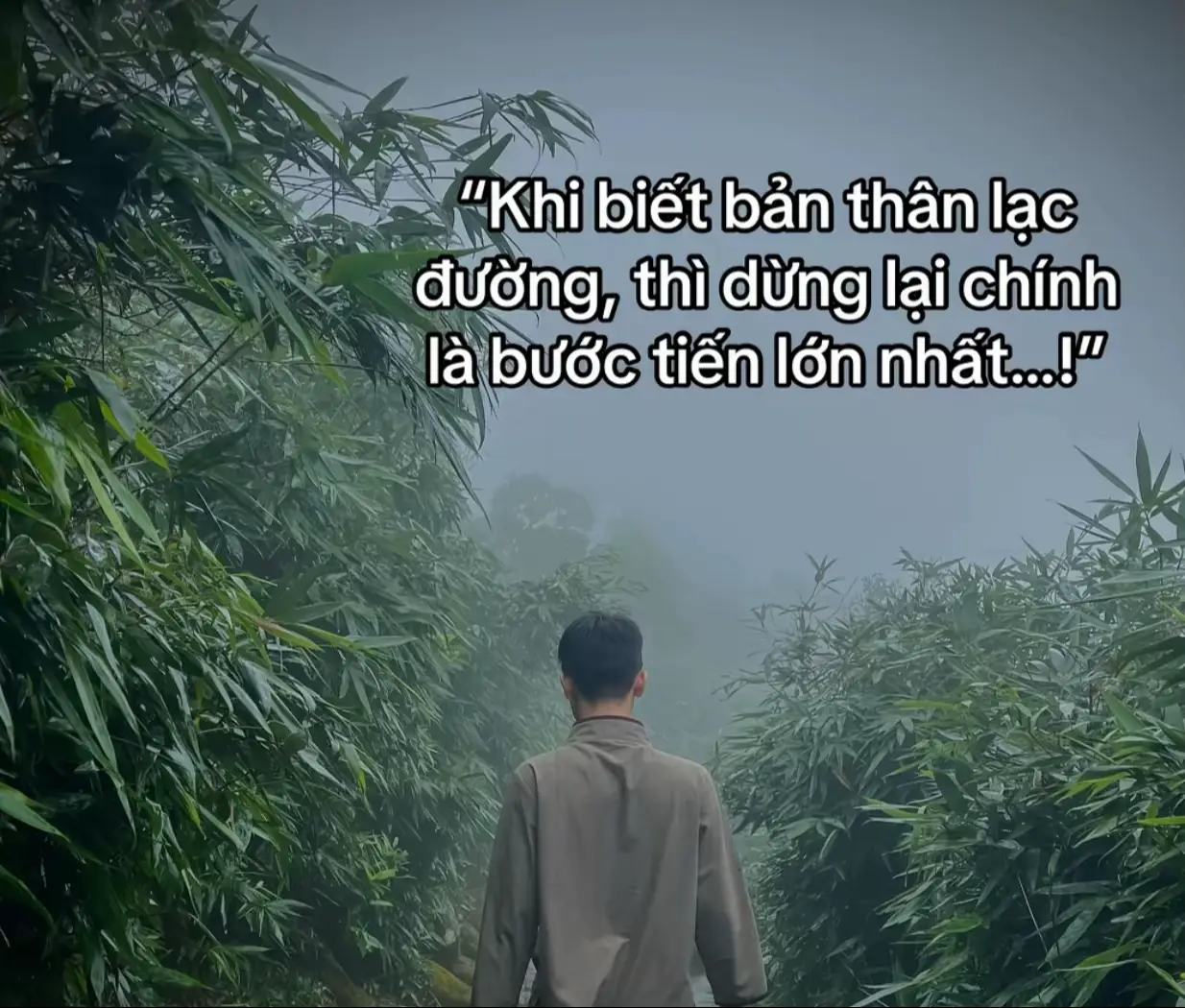 #xuhuong 