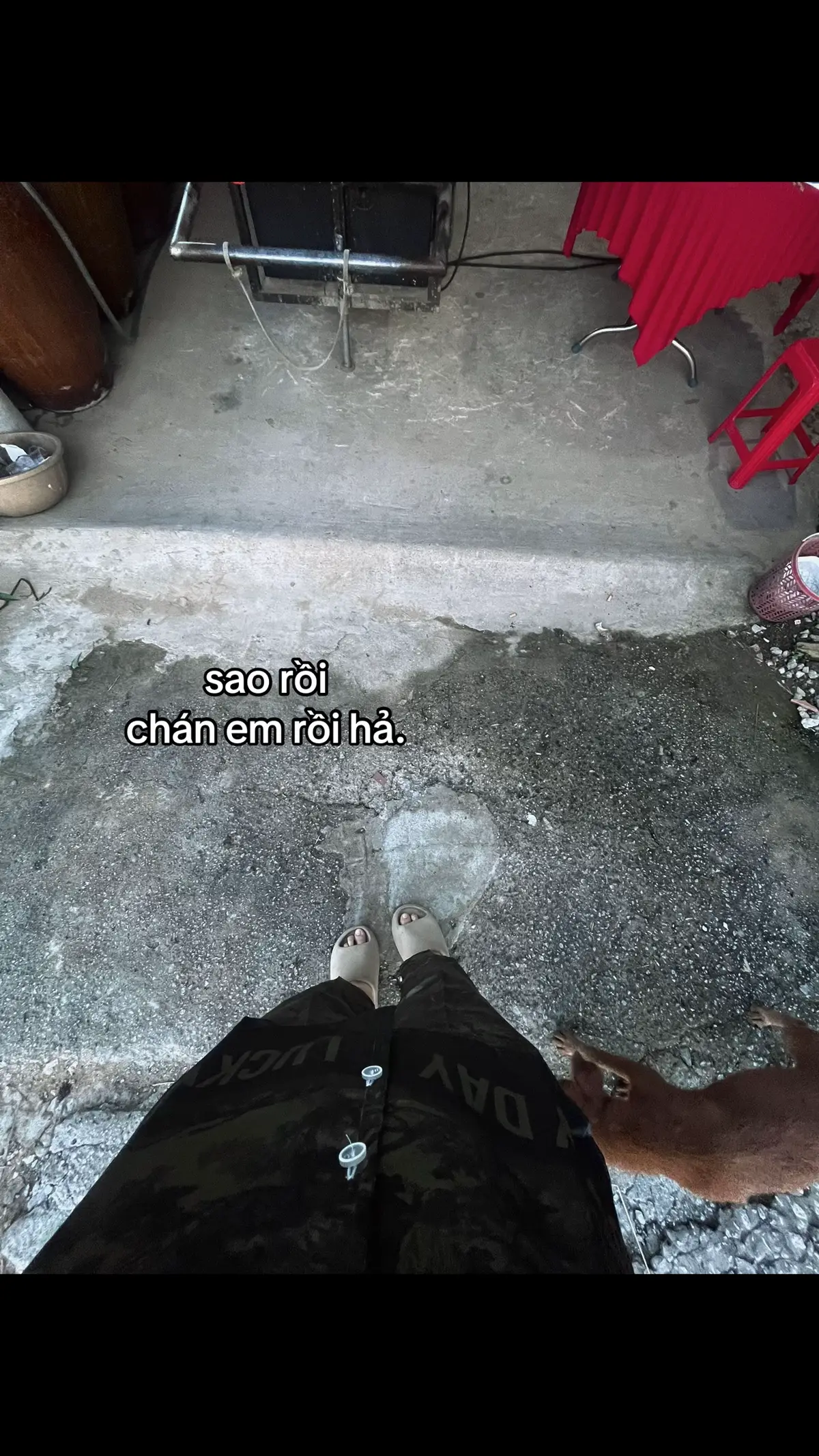 #xuhuongtiktok #xhtiktok #xuhuong #fyp 