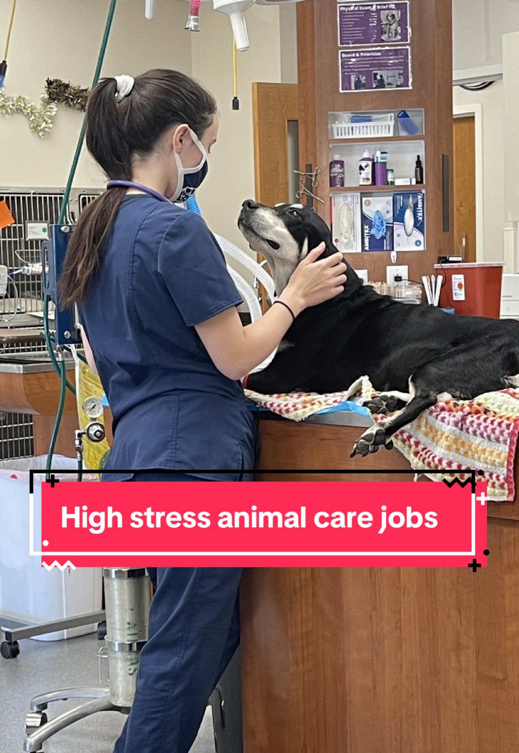 You’re valued and appreciated and we love you 🤍 #vetmed #vetmedlife #veterinarymedicine #vettechtok #vettechsoftiktok #zookeepers #zookeepersoftiktok #wildlifeconservation #vetmedtok #vetassistant #animalcare #animalcarejobs 