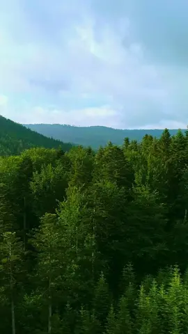 Happy #WorldEnvironmentDay 🌍! Every journey leaves a footprint 🌱, let’s make it a lighter one this year. Here are 5 easy ways to travel better for our world. #TravelBetter #SustainableTravel