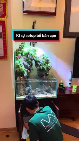 Ký sự setup bể dạo #ngocaquadesign #tieucanh #bancan #paludarium #aquarium #terrarium 