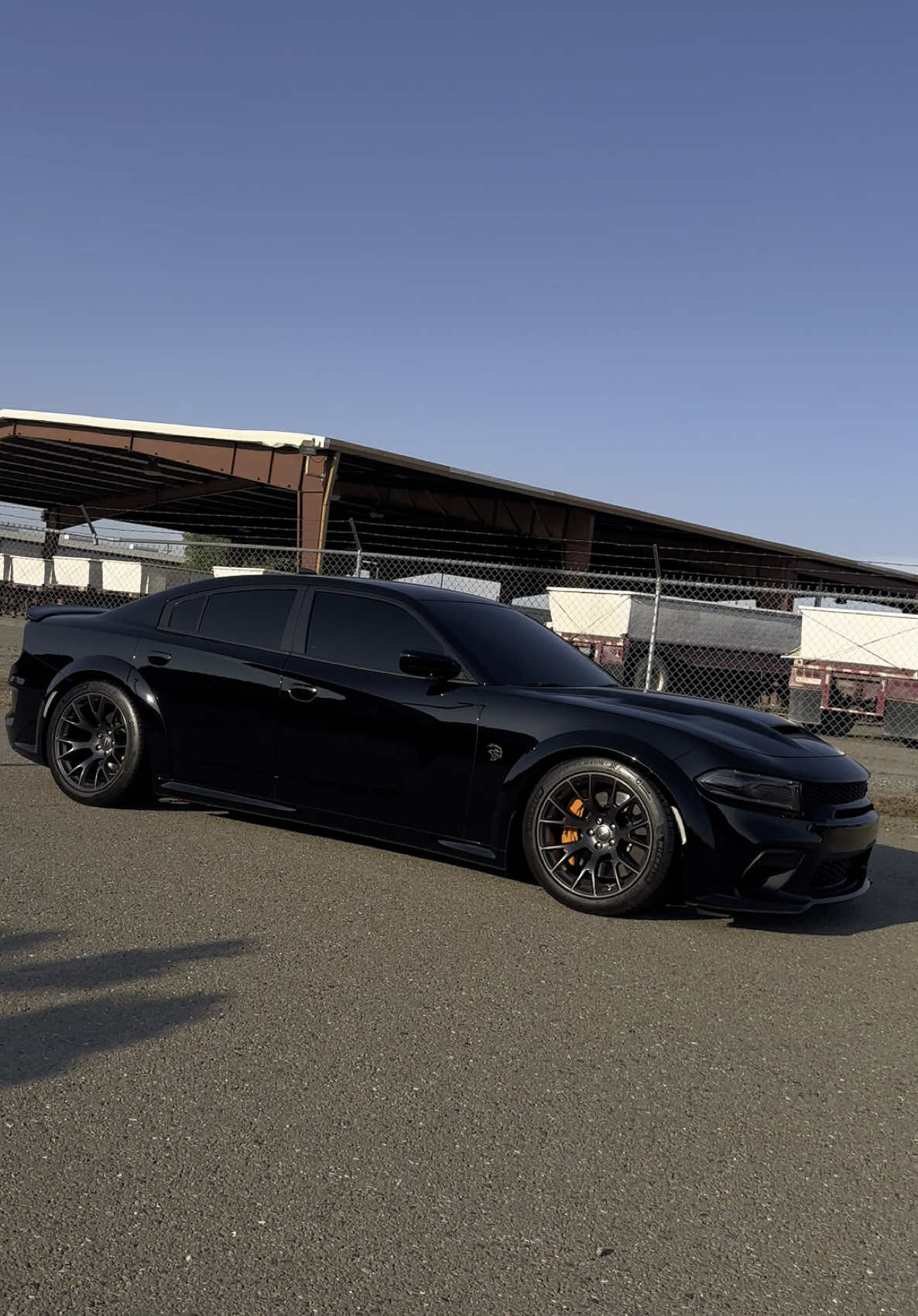 Can’t go wrong with black🐈‍⬛🖤 #hellcat #dodge #charger #supercharged #v8 #hemi #scatpack #scat #mopar #redeye #fyp #fypシ #explorepage #explorepage✨ #parati #paratiii #explore #blackedout @Dodge 