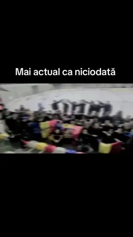 #mandrisidemni🔴🔵 #ceicarenuautrădat #steauainseamnacsa #sudsteaua #fcsbnuesteaua #muieciobane 