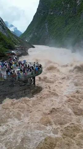 Swimming is prohibited here and fishing is prohibited! With continuous rainfall,the Tiger Leaping Gorge ushered in the best viewing period!  #chinatravel  #yunnan #tiger #tigerleapinggorge #Hiking  #yunnan #shangrila 
