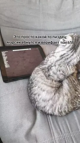 полнейшее мясо🔥🔥🔥