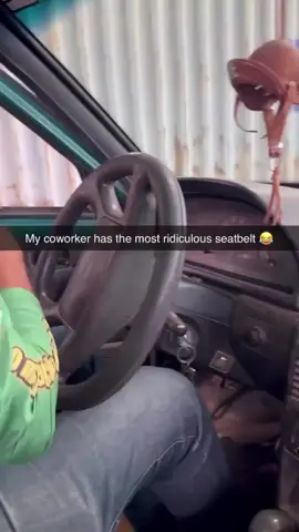 I mean it ain’t a bad idea eh? #fypシ #rhinousa #retractable #seatbelt #funny  Disclaimer: These products are not intended to be used as seatbelts or safety restraints. Do not use them as a substitute for proper safety equipment.