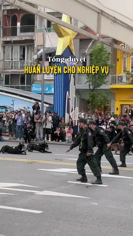 Tổng duyệt Huyến luyện chó nghiệp vụ trong khuôn khổ sự kiện 