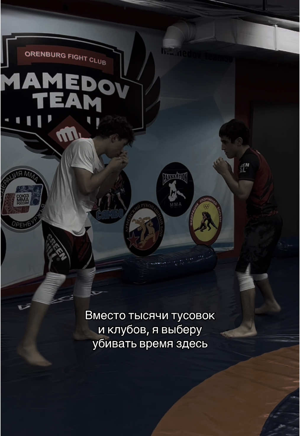 @sevyannmma идея взята у этого тигра🔥#fup #fyp #рек #рекомендации #rec #fupシ #mma #mmafighter #мма #тренировки #mmahighlight 
