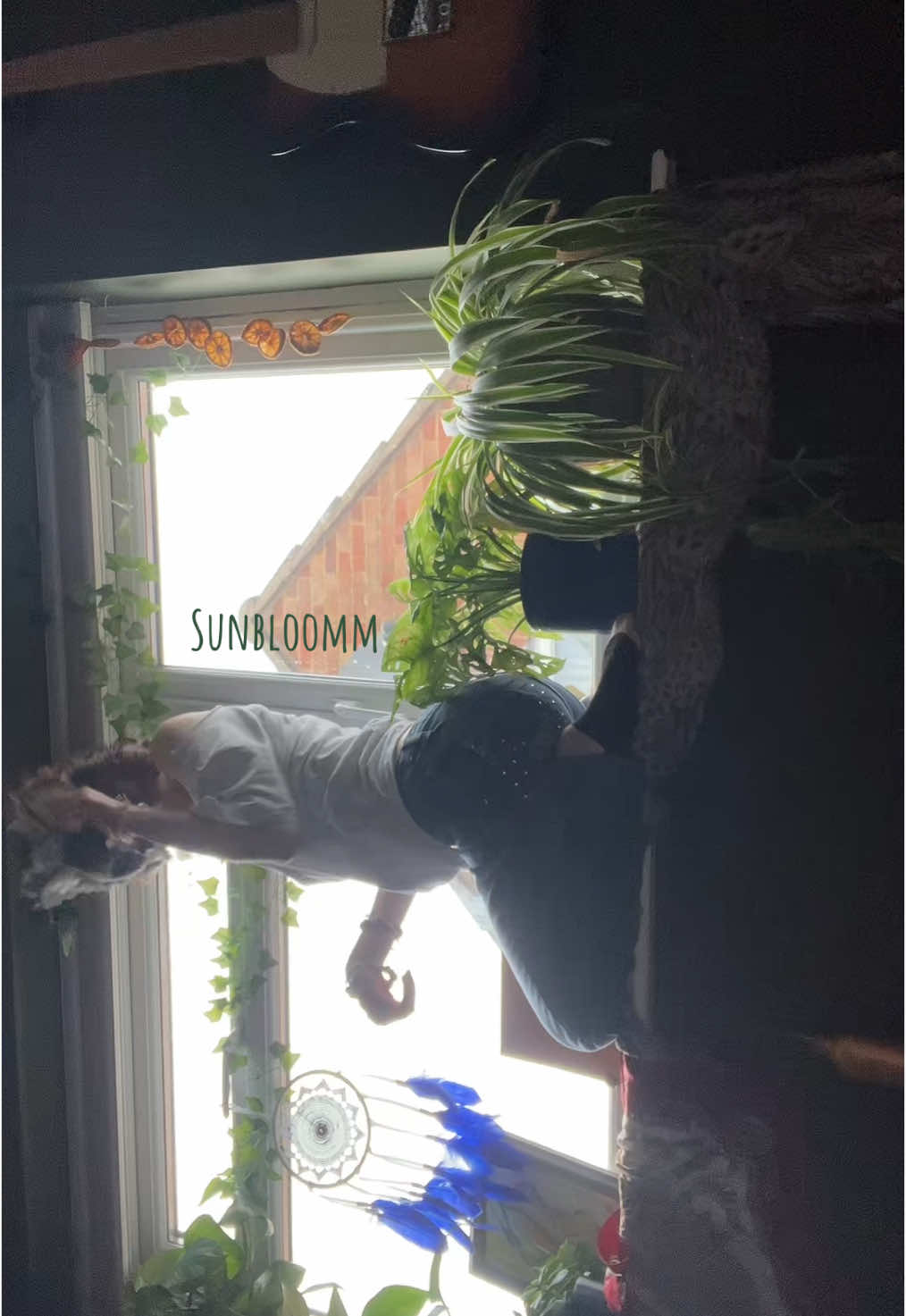 Kitty on da window! | #fyp #therian #therianthropy 