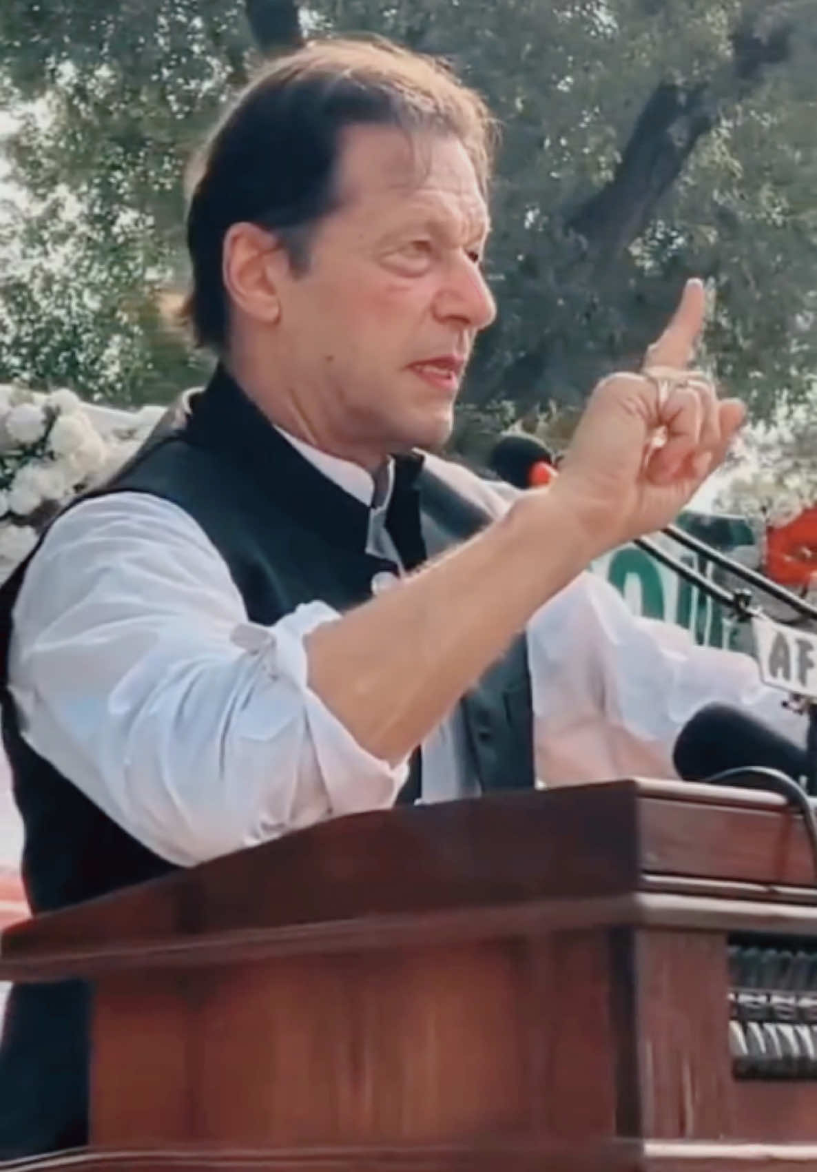 #AliAminGandapur #ArmeeraKhan #AliArmeera #VoiceOfImranKhan #PowerCouple #ArmeeraForJustice 