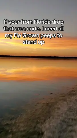 Bring it back home everybody #Florida #flogrown #fypシ 