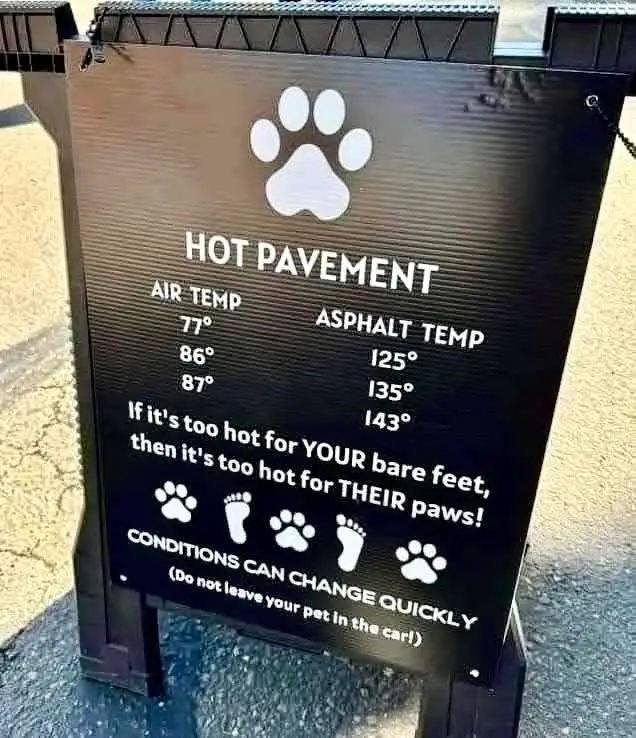 Summer temps are rising fast — if the ground’s too hot for YOUR feet, it’s definitely too hot for THEIR paws 🐾💔 Protect your pets from burns and blisters. Early morning or late evening walks are best! ‼️ Don’t forget: conditions can change quickly 🚫 Never leave pets in hot cars! #PawProtection #HotPavementWarning #PetSafetyTips #CorgiCare #SummerDogTips #ProtectThePaws 🐶🐾🌡️
