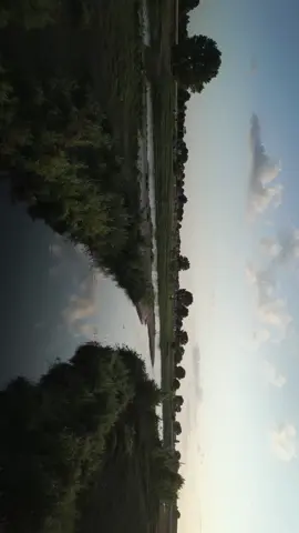 Some shots from West Maas en Waal 🤩🚁 #sunset #drone #cinematic #travel #netherlands #goldenhour #vidrography #PeacefulMoments #dji @DJI Official 