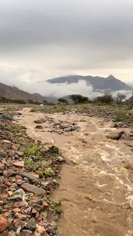#المدينة_المنورة 