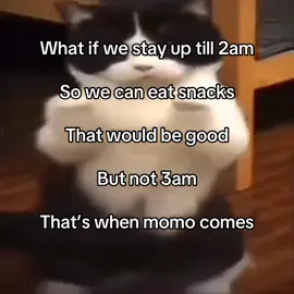 Momo is creepy (credit to @realz_clipz)#cool #dancingcat #chickendih #3am #momo #cooldances #snacks