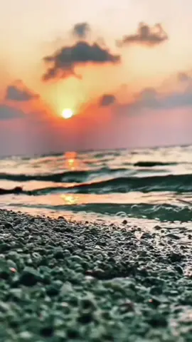 اصبحت الوحدة افضل من الصحبة 