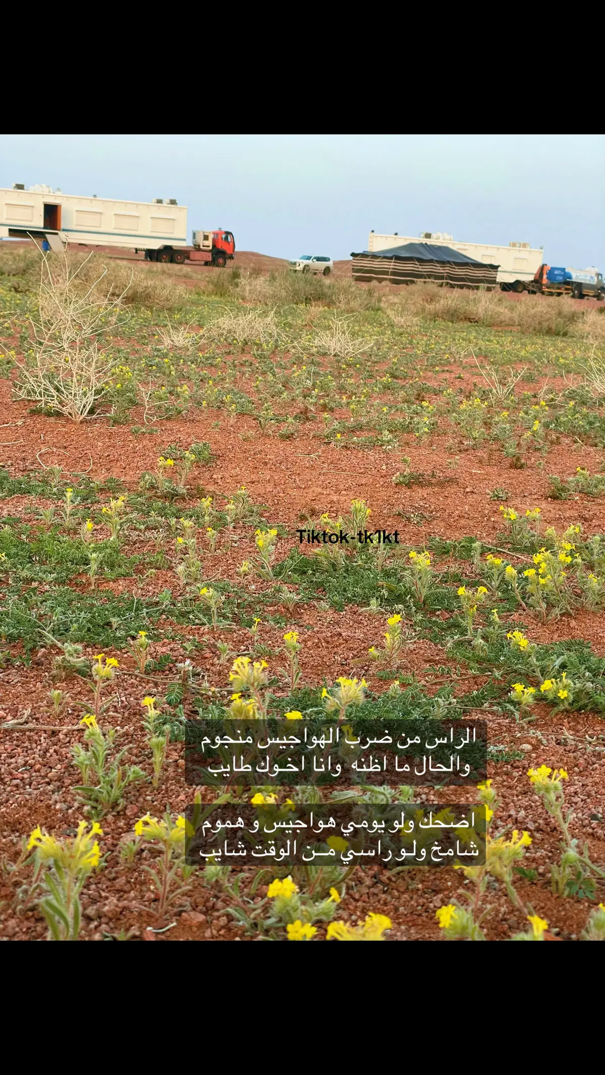 #الراس من ضرب الهواجيس منجوم   #اكسبلورexplore#اكسبلورexplore#اكسبلورexplore#