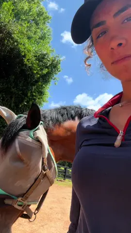 #fyp #equestrian #foryoupage #fyppppppppppppppppppppppp #fypシ゚viral #horsegirl #horsetok #horselife #fypシ #giant4yearold #viral #entrepreneur 