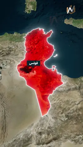 ما هي أسعار الأضاحي في بعض الدول العربية؟ #السعودية #مصر🇪🇬 #تونس #جغرافيا #تاريخ #سودان #العيد 