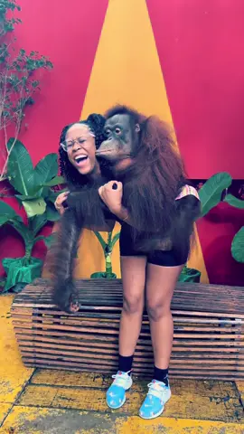 Best experience ever 😂 the end is crazy. #safariworld #safariworldthailand #safariworldbangkok #bangkokthailand #blackgirltraveltok #blackgirltraveler #viral #fyp 