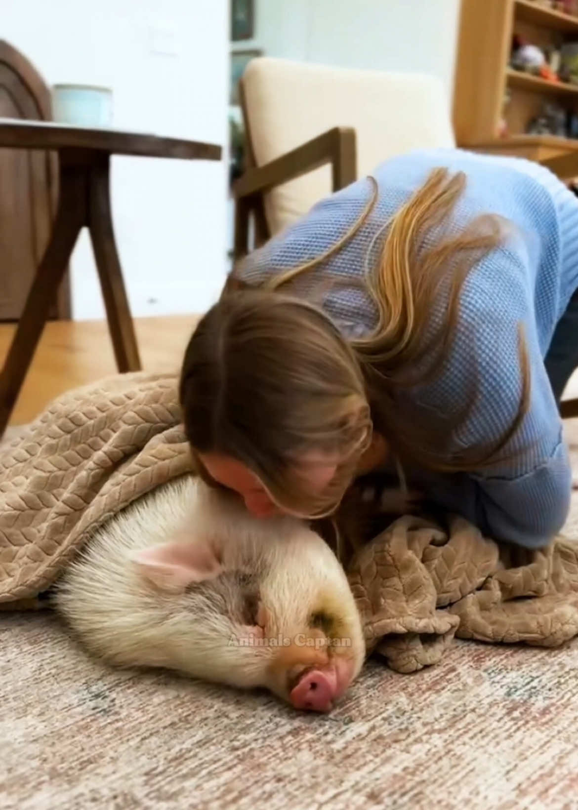 Oh! Little piglet, could that be your mommy? #pig #piggy #pigsoftiktok #shorts #pets #PetsOfTikTok #animal #animalsoftiktok #heartwarmingmoments #rescueanimals #animalcare #wildanimals 