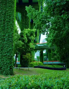 welcome to Chengdu,China🇨🇳，We offer services to tourists who wish to visit China, invest in China and learn Chinese. If you are interested, please contact me. Thank you!#China #chengdu #city #travel #trip #travelchina #immigrant #voyage #word 