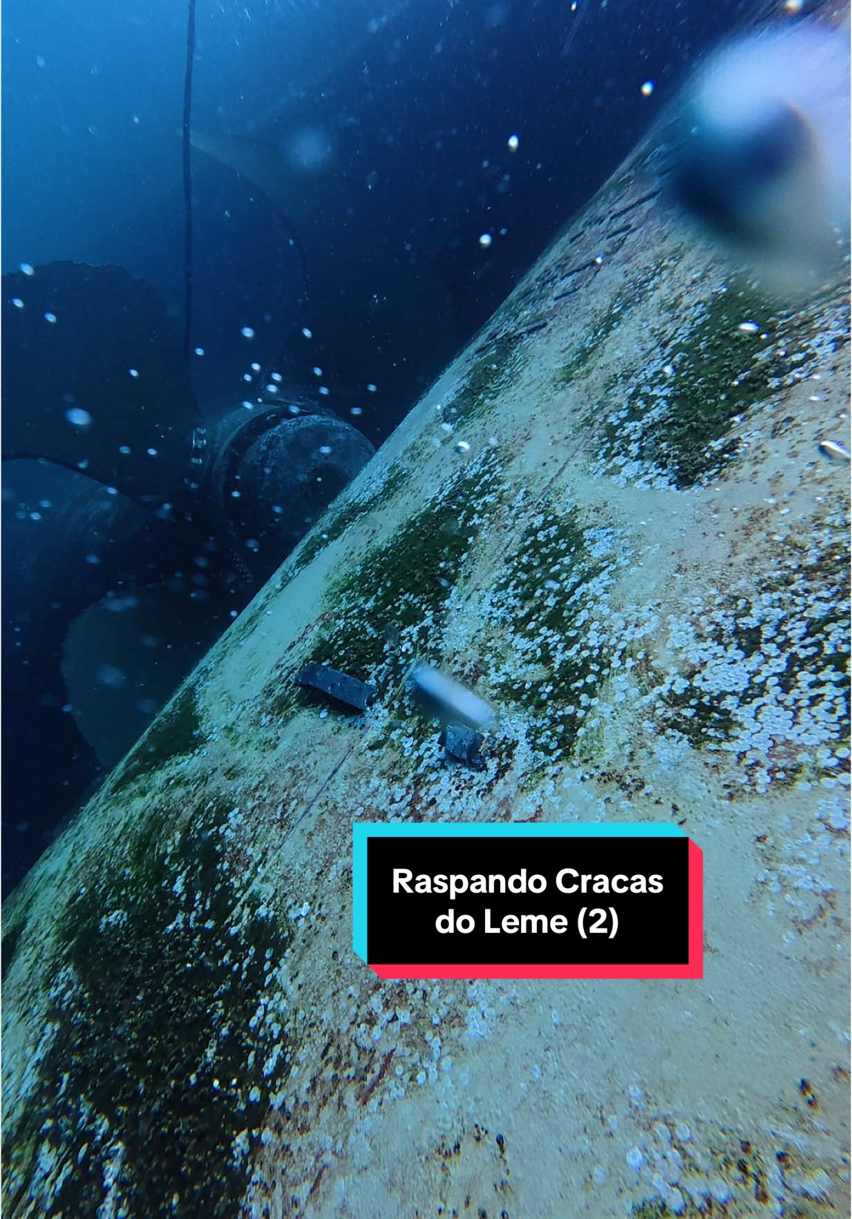 Raspando Cracas do Leme (2). #workhard #dive #ship #hull #mergulho #buceo #navio #maritime #satisfyingvideos #asmr 