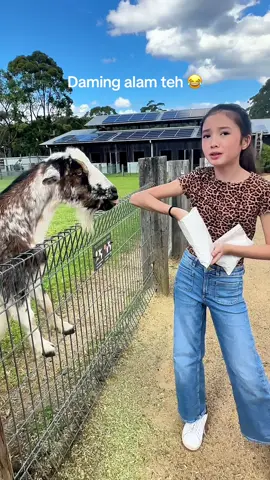 Slowdown my friend 😀 #mary  #maryhall  #fyp  #zoo 