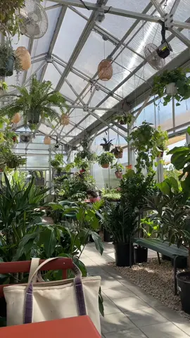 my favorite hideaway