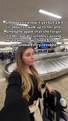 DON’T make this mistake! “I could fine you $500 right now and revoke your global entry” I was standing there waiting for my luggage and a Customs & Border Control Officer came up to me, saying the K9 is smelling food and asking me if I had anything. Shoot… I forgot I had an apple on me from Amsterdam that I was supposed to declare at customs. They took my passport and went through all my bags. He said if I had lied about the Apple, I would’ve gotten a $300 fine. Then I could’ve gotten another $500 fine for actually having the apple and Global Entry because you’re held to a higher standard. Be sure to declare these upon arrival: - Purchases over $800 - Cash including travelers checks over $10,000 - ALL food, plants, and animal products. - Check the full restricted/ prohibited items list to be safe at [cbp.gov](http://cbp.gov/) When in doubt, declare it to avoid fines and confiscation. Thankfully I was given a warning because this is my first offense but this was a reminder to take it seriously. I genuinely forgot about the apple and declaring it wasn’t top of mind since they stopped having you fill out those forms on the plane. I also didn’t know you are supposed to declare all food, even if it’s processed. Don’t forget this next time you fly internationally & share with a friend ✈️  #globalentry #travelers #travelersoftiktok #cbp #traveltip 