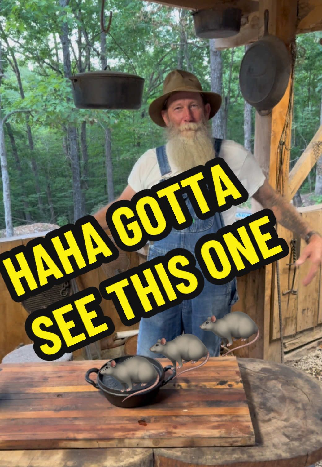 Boudreaux loves him some noddles. #whatwecookedtoday #cajuninthemountains #comfortfood #boudreauxtheopossum 