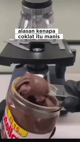 #CapCut 