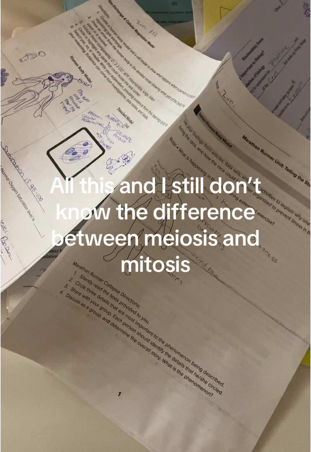 Ignore me looking crusty it’s my cleaning outfit #biology #fyppppppppppppppppppppppp #makemeviral #blowthisup #fypシ #fy #fu #fyp #jokes #satire #school #ihateschool #mewhen #boi #whatthehell 