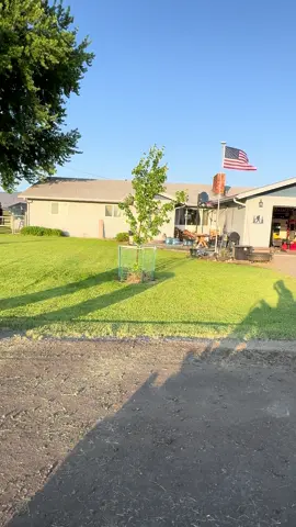 Peace… #mensmentalhealth #lawn #peace #peaceful #lawncare 